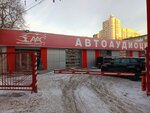 Автоконнекс (Belinskogo Street, 112Б), car alarm