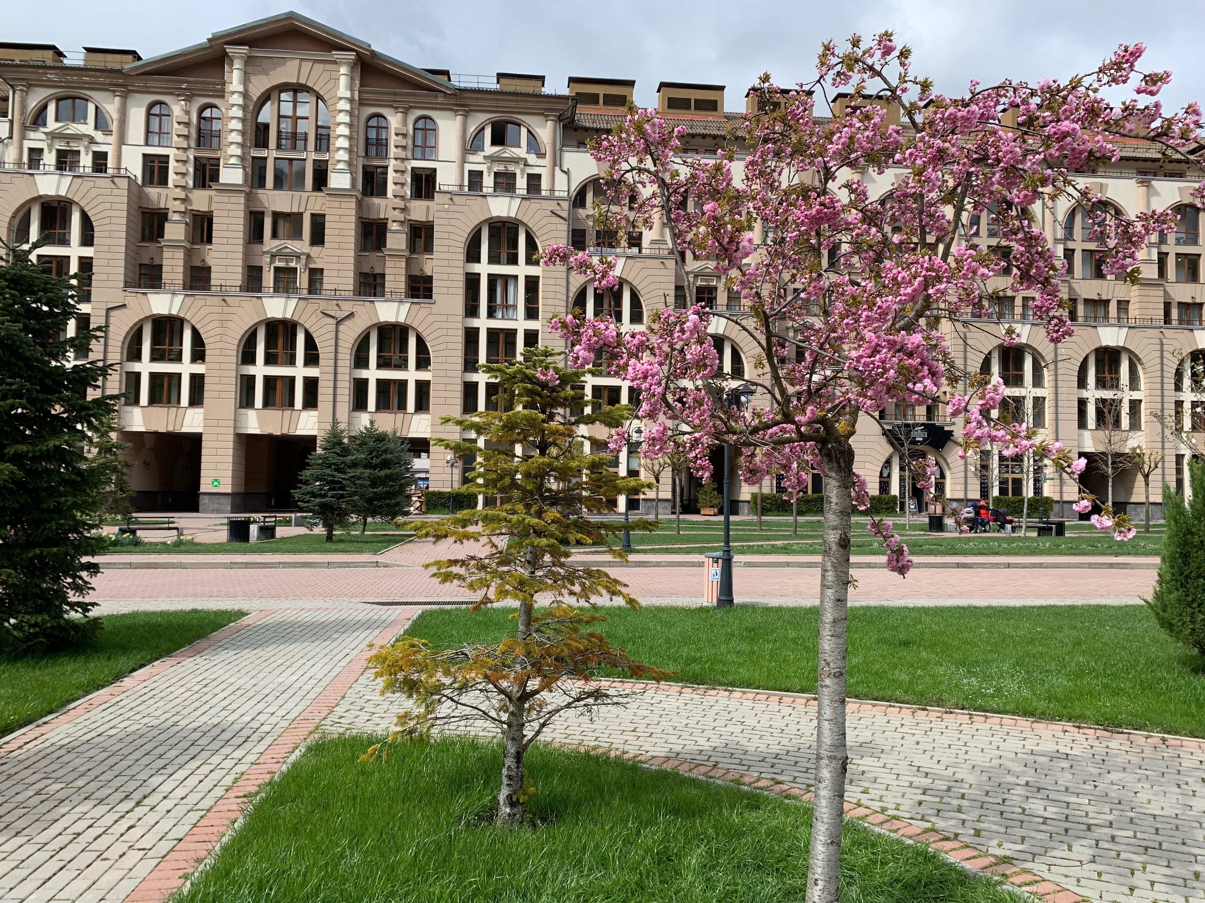 Фото Горки Город Коллекшион