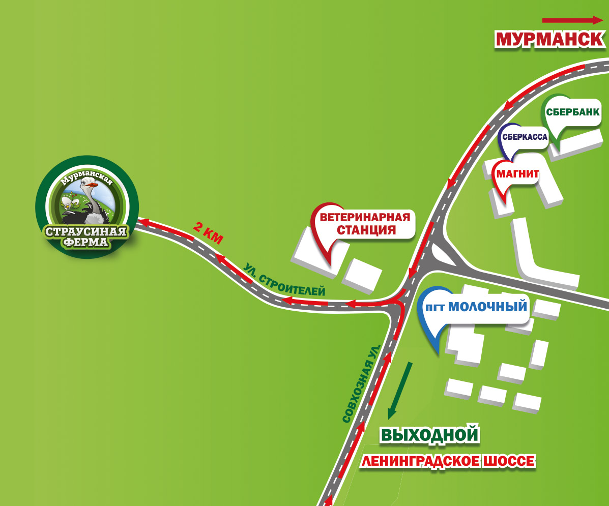 Фото Мурманская страусиная ферма