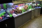 AtmanAqua (Polyustrovskiy Avenue, 45Б), aquariums