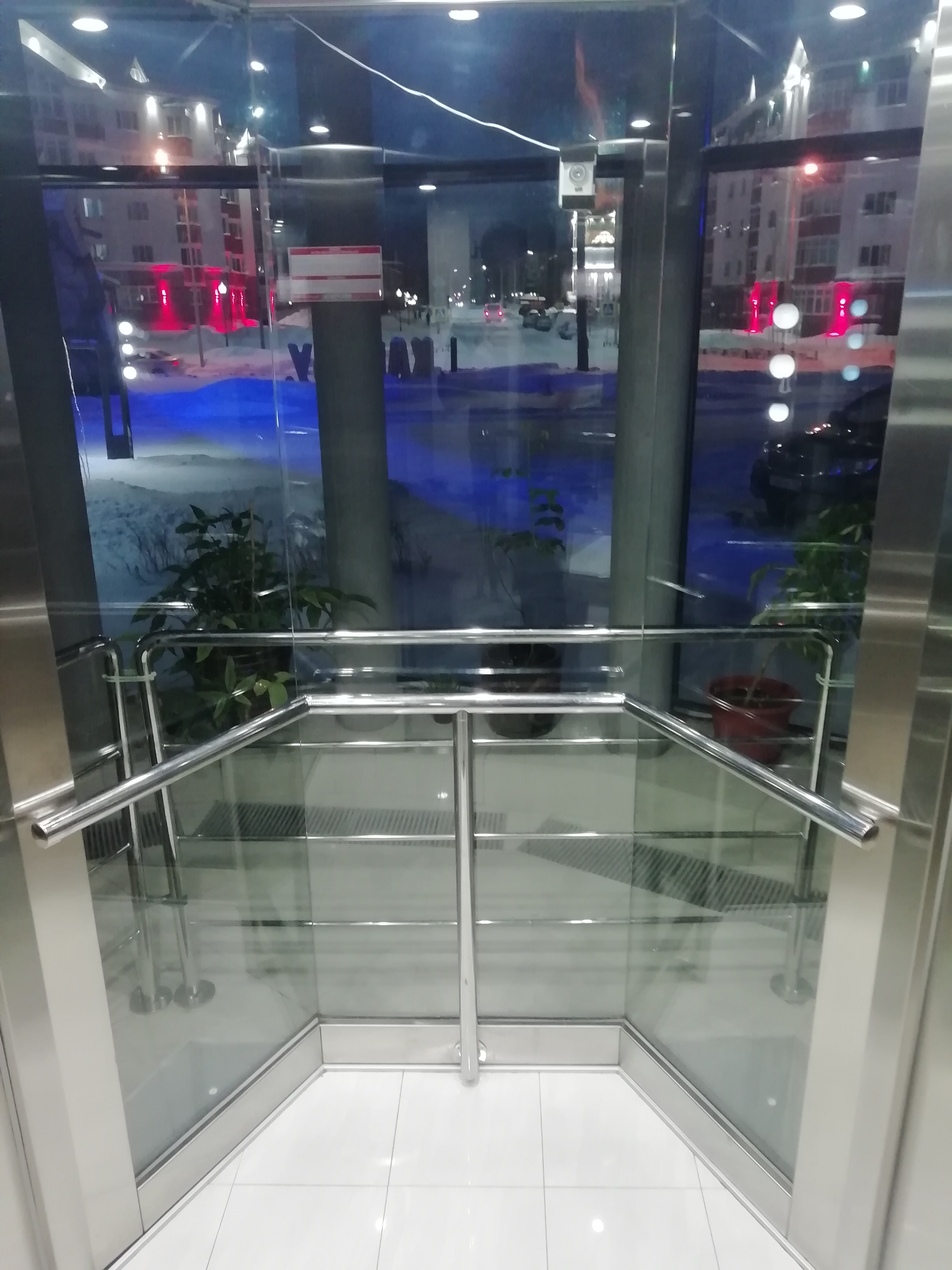 Фото Карибу