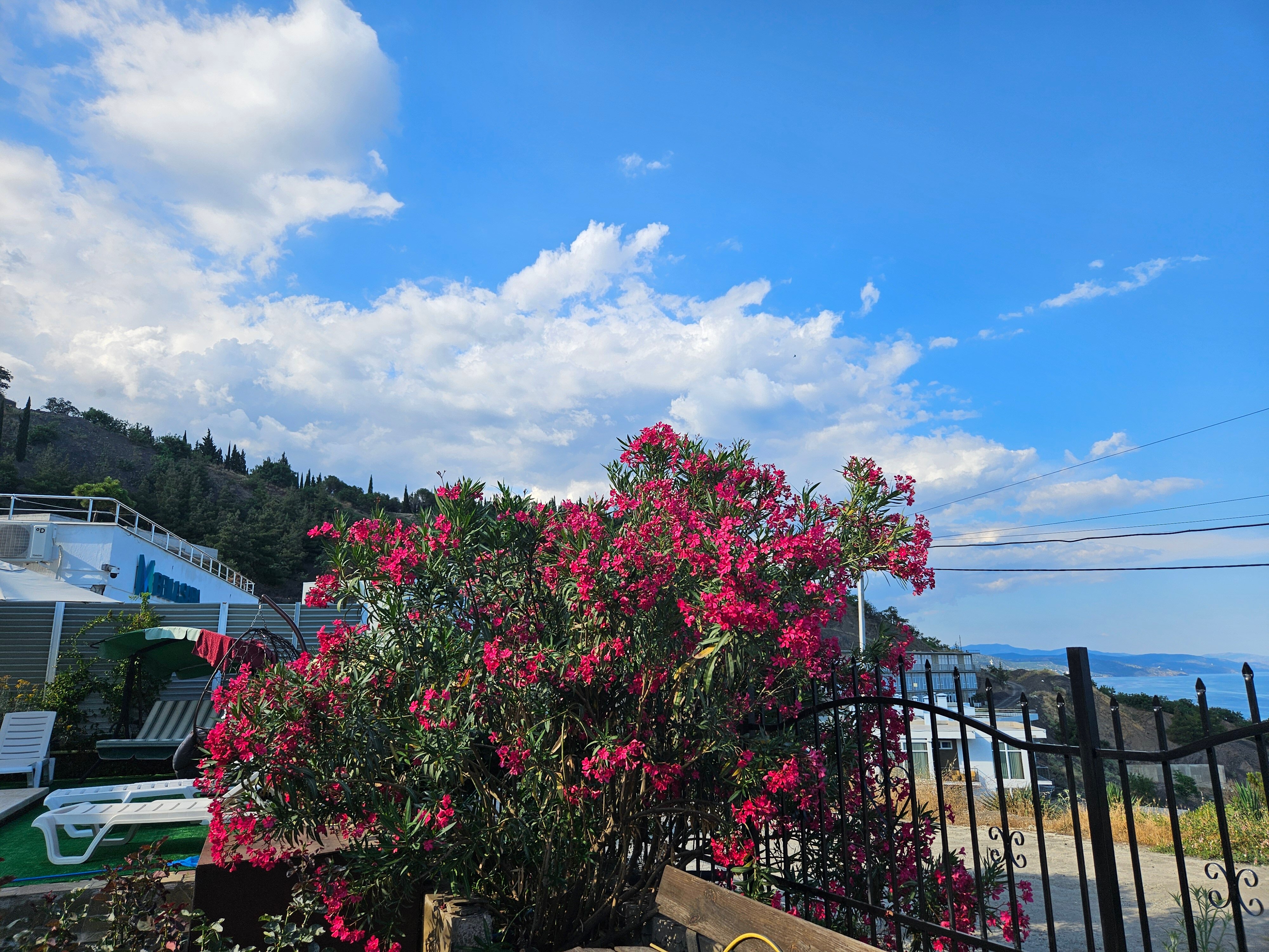 Фото Лукоморье