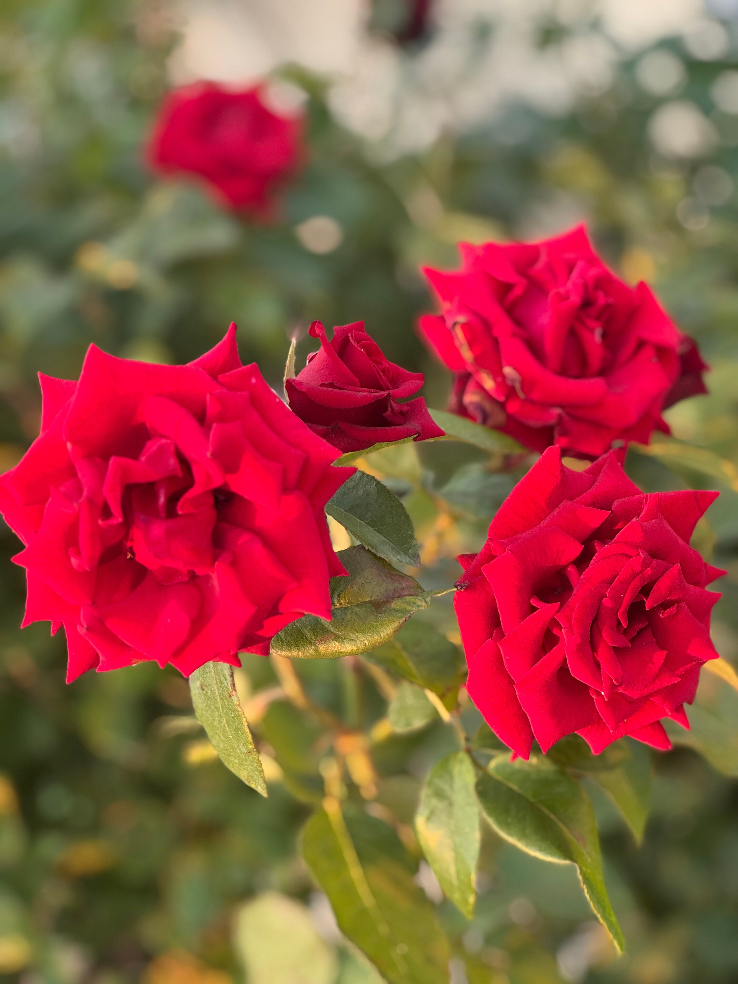 Фото Стефания на Николаевской