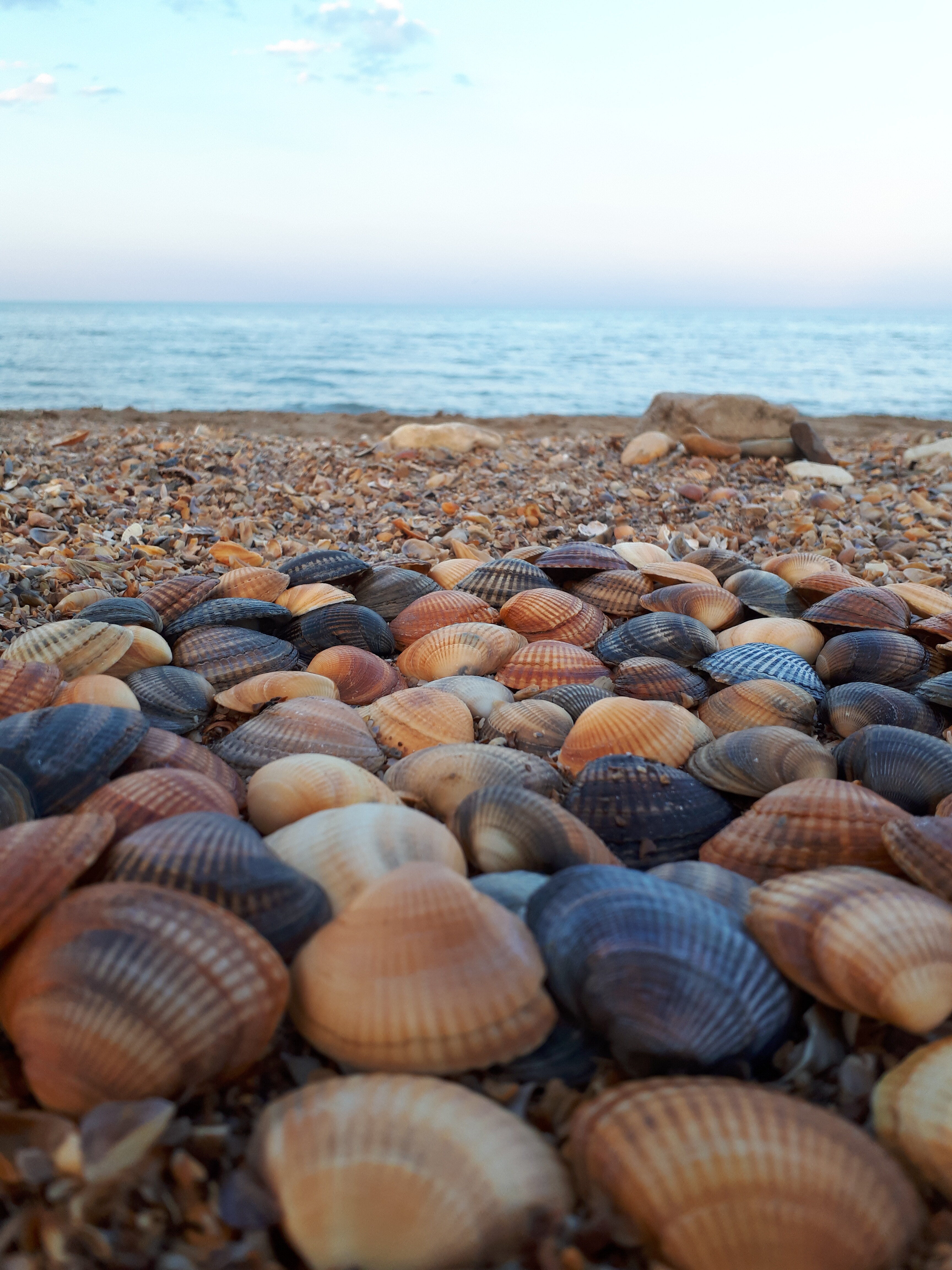 Фото На Волне