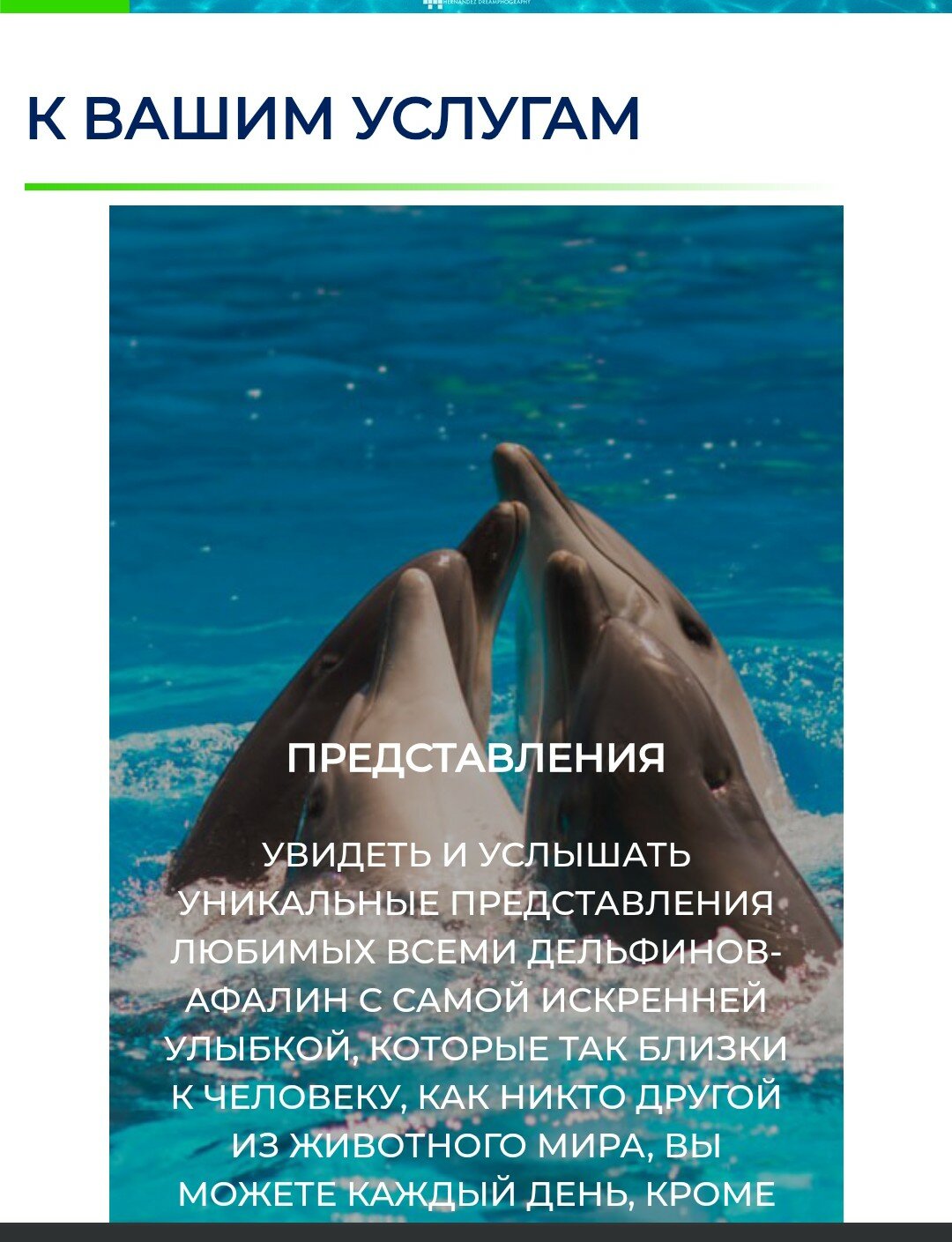 Фото Complimente