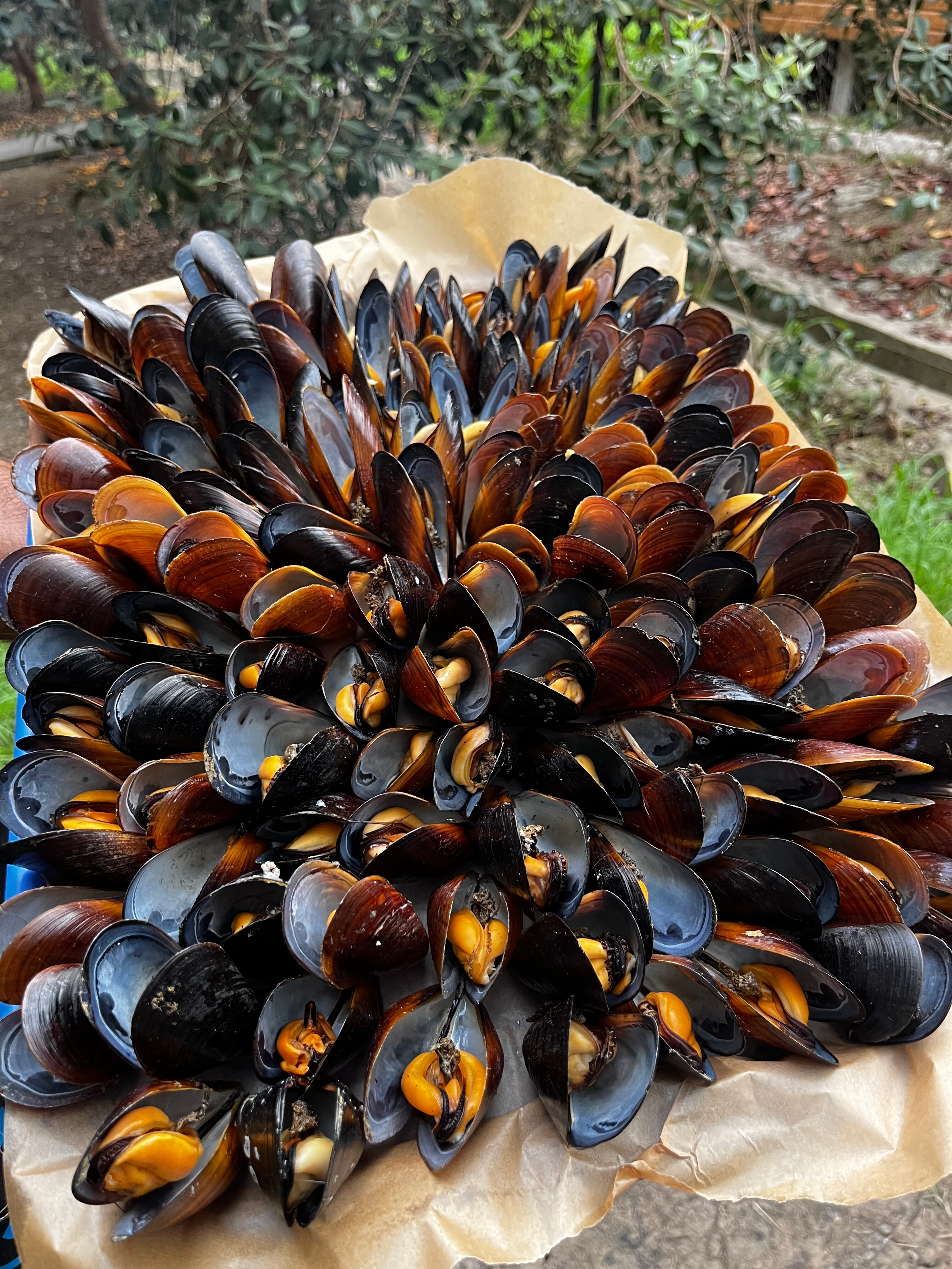 Фото Дивный Сад