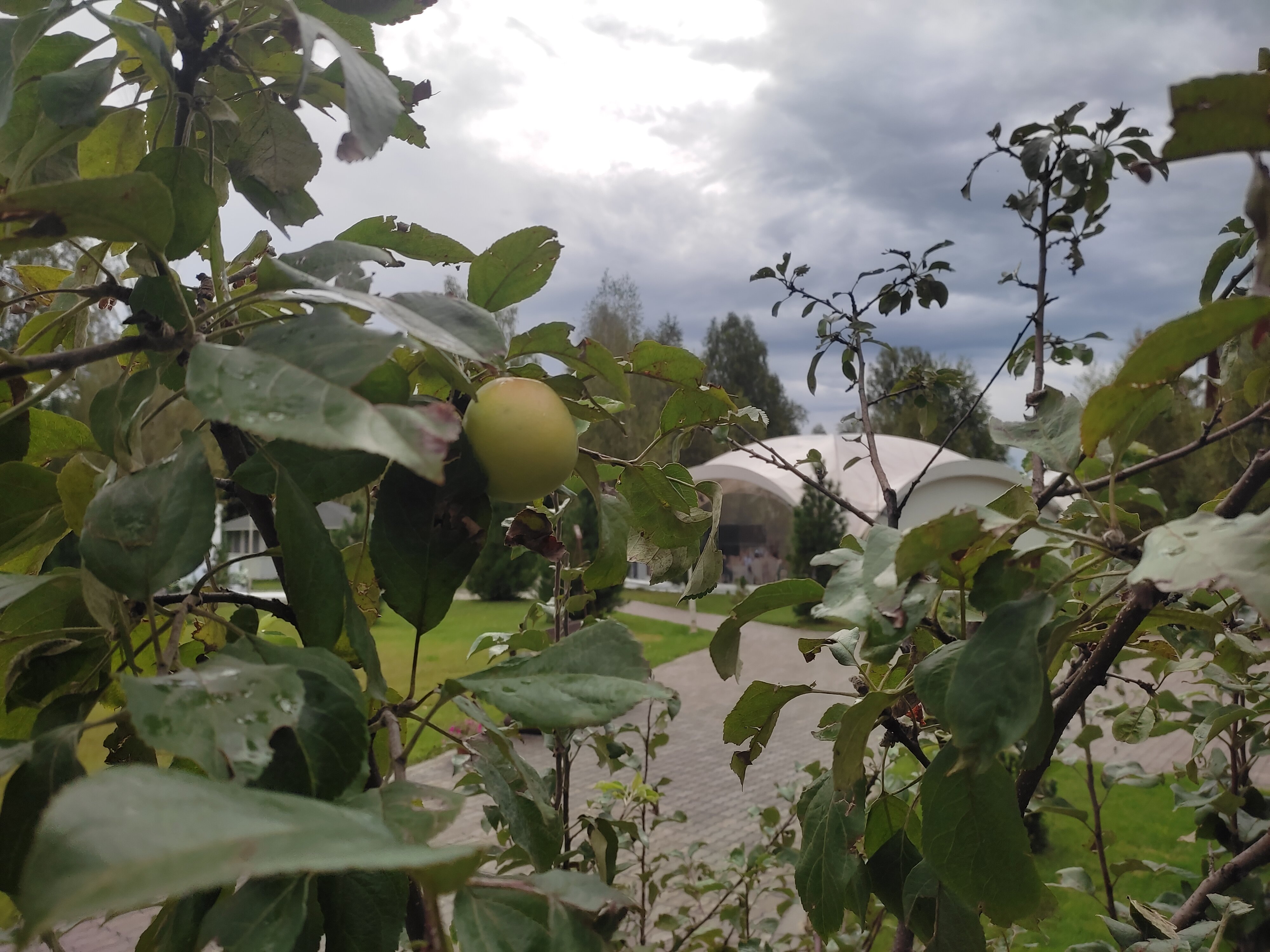 Фото Озерки