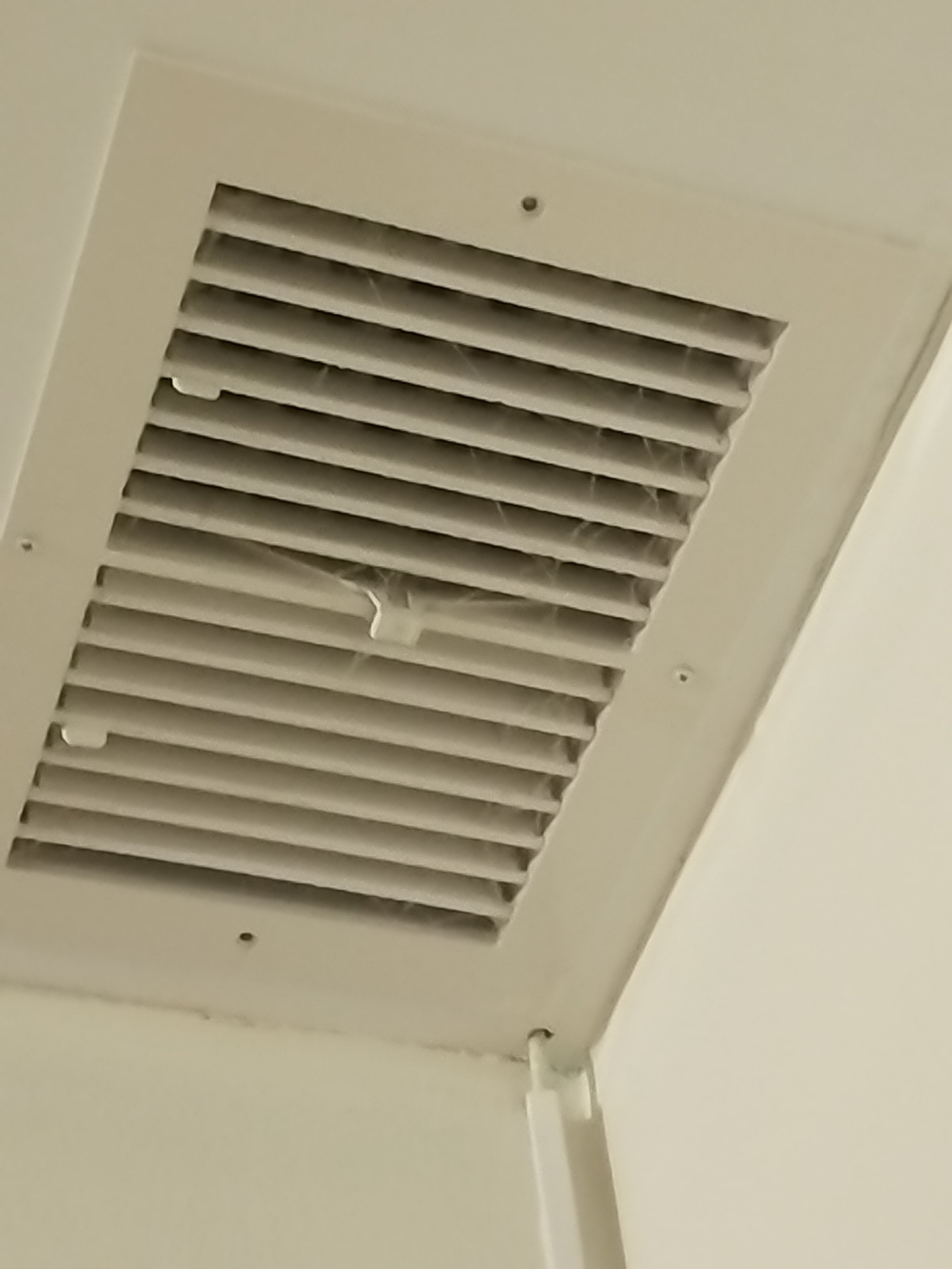 Фото Садочек