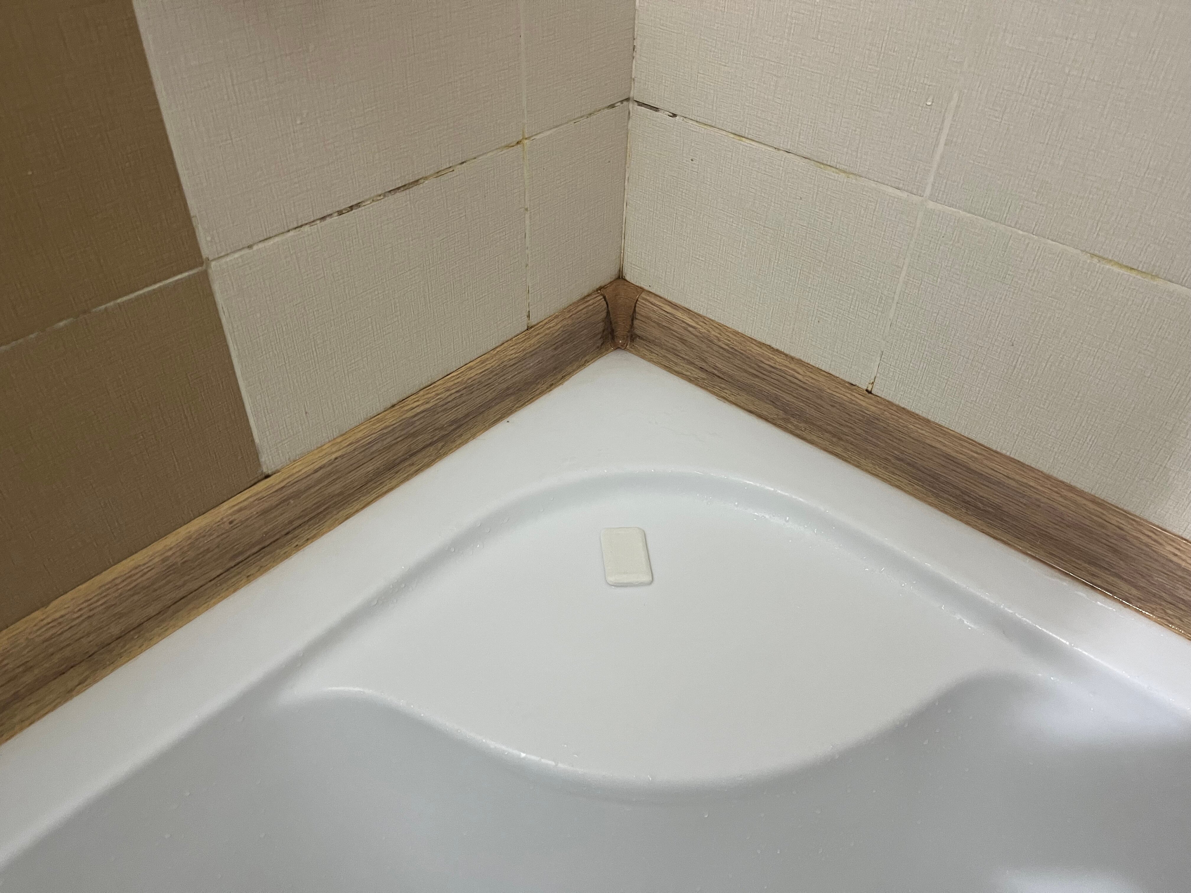 Фото Жемчужина