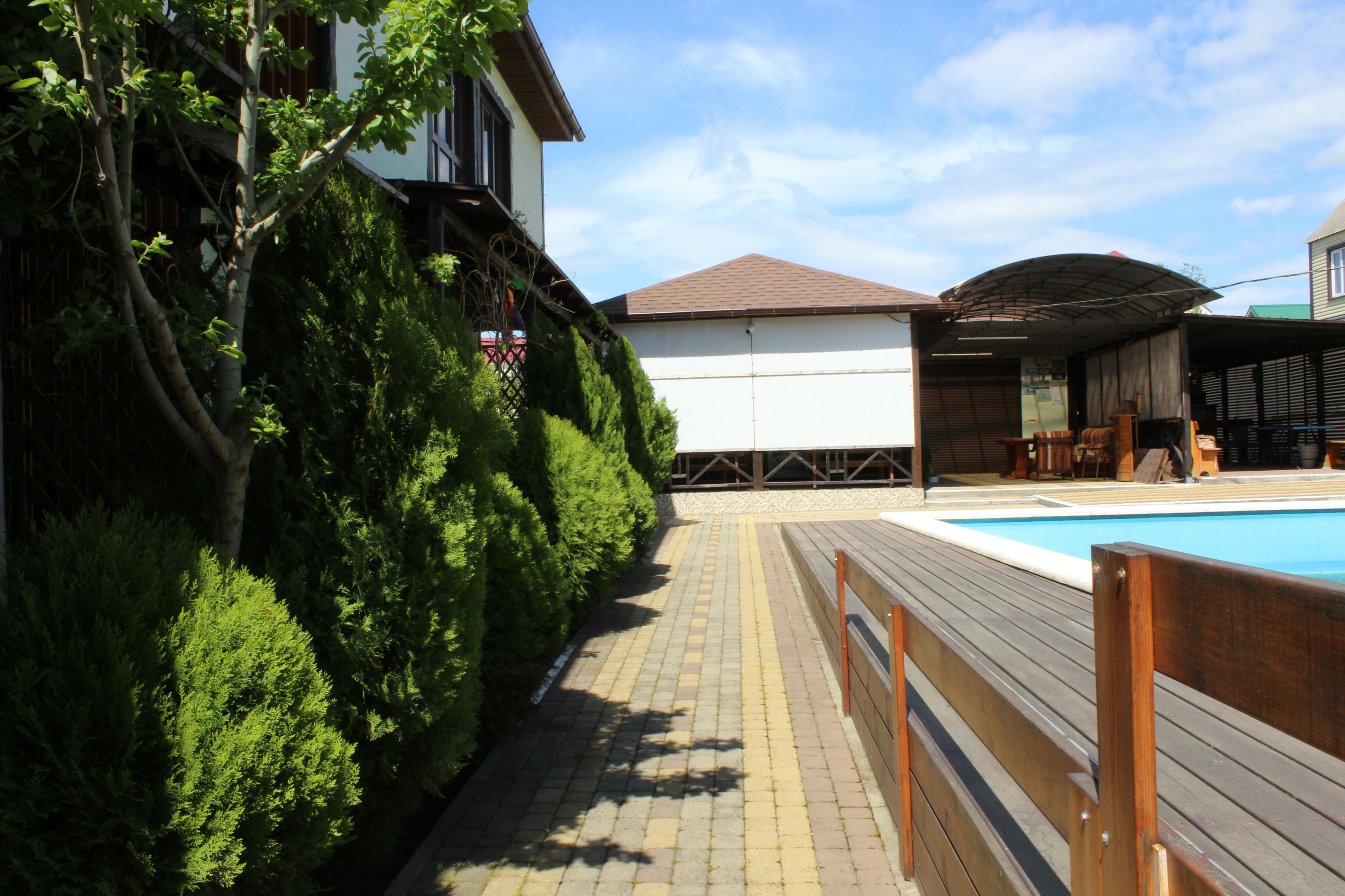 Фото Апельсин