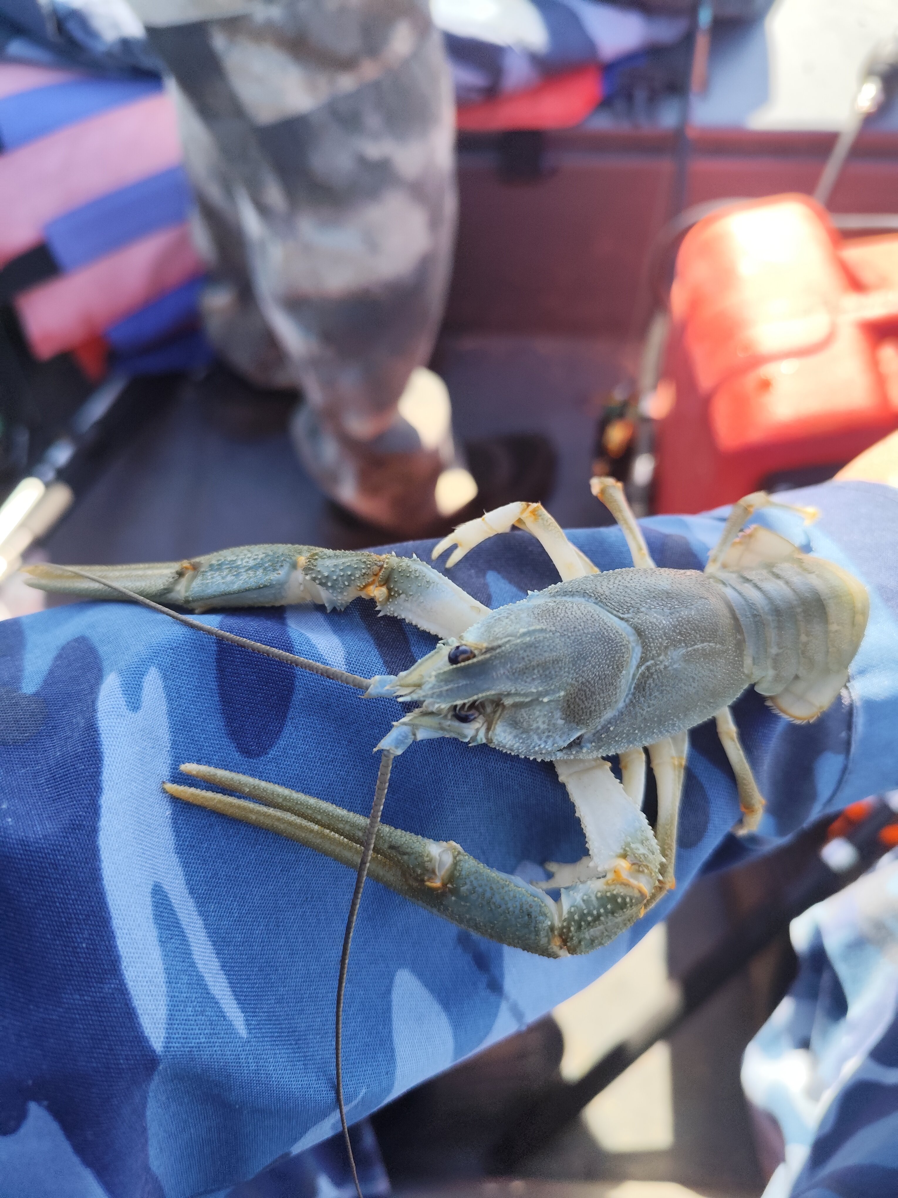 Фото У дяди Вади