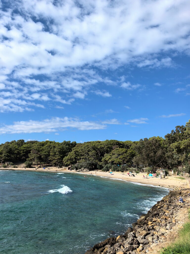 Beach Incekum Forest Camp Beach, Earth, photo