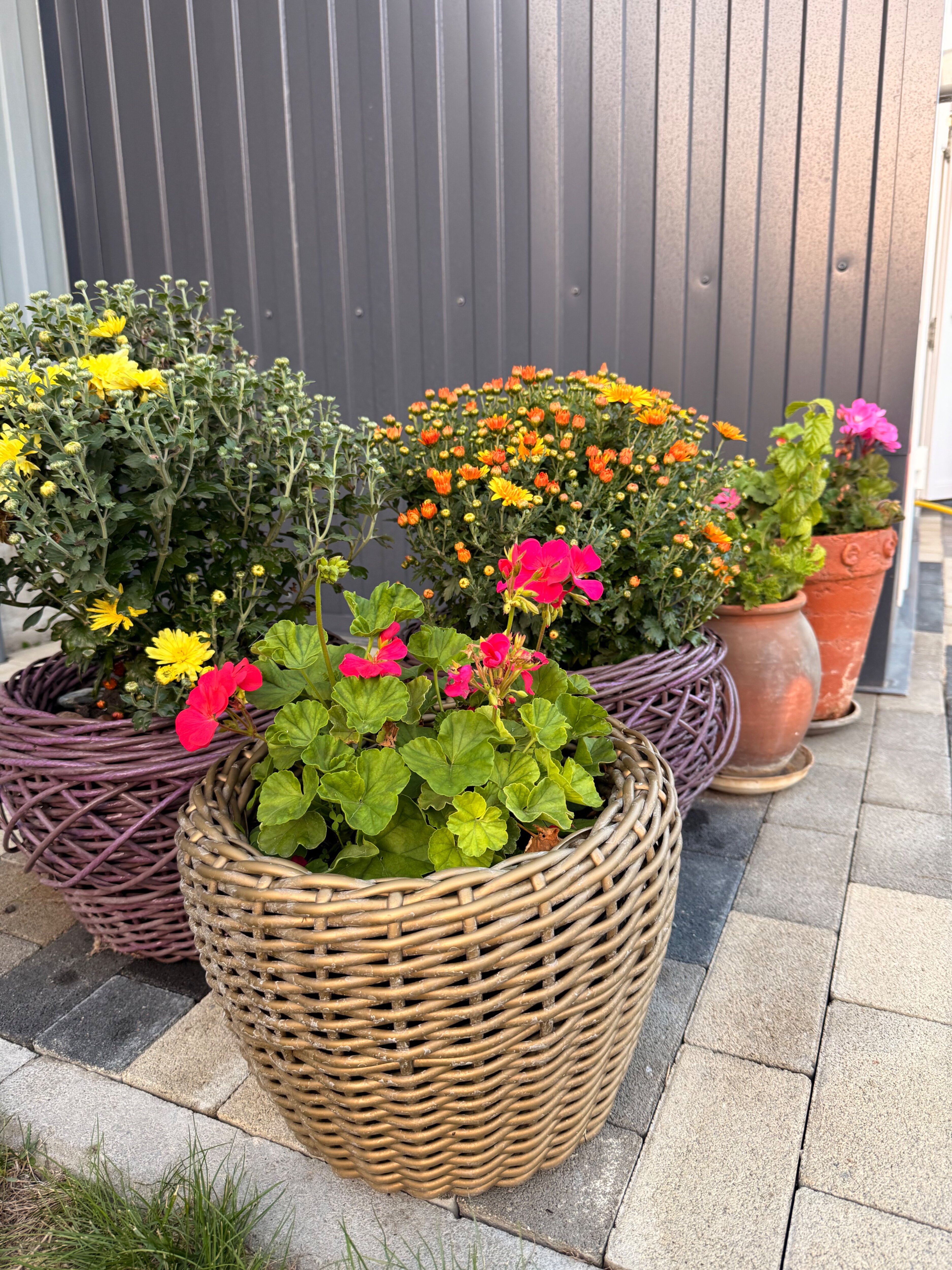 Фото Дом Прованс