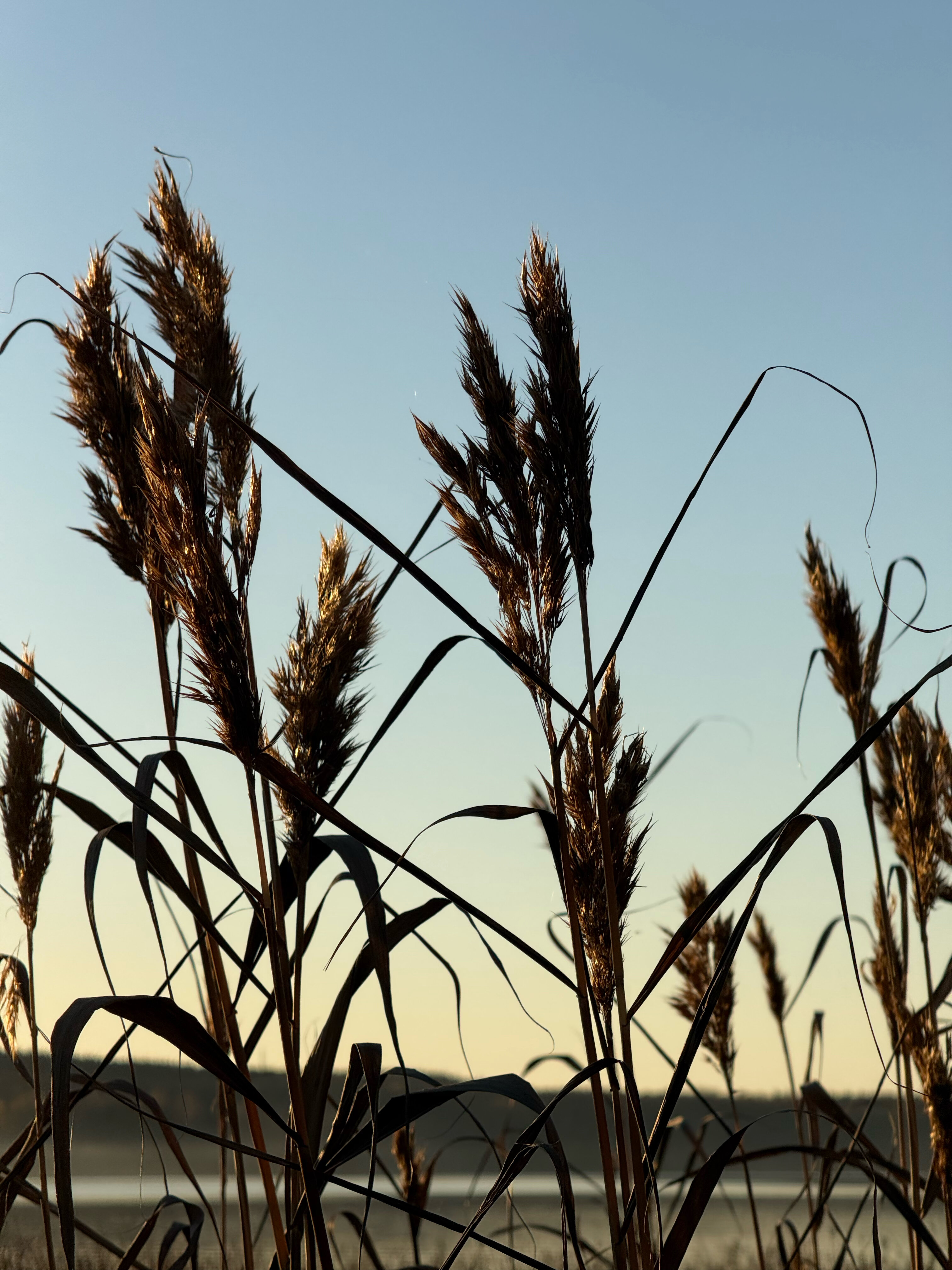 Фото Klever House Клеверная Бухта