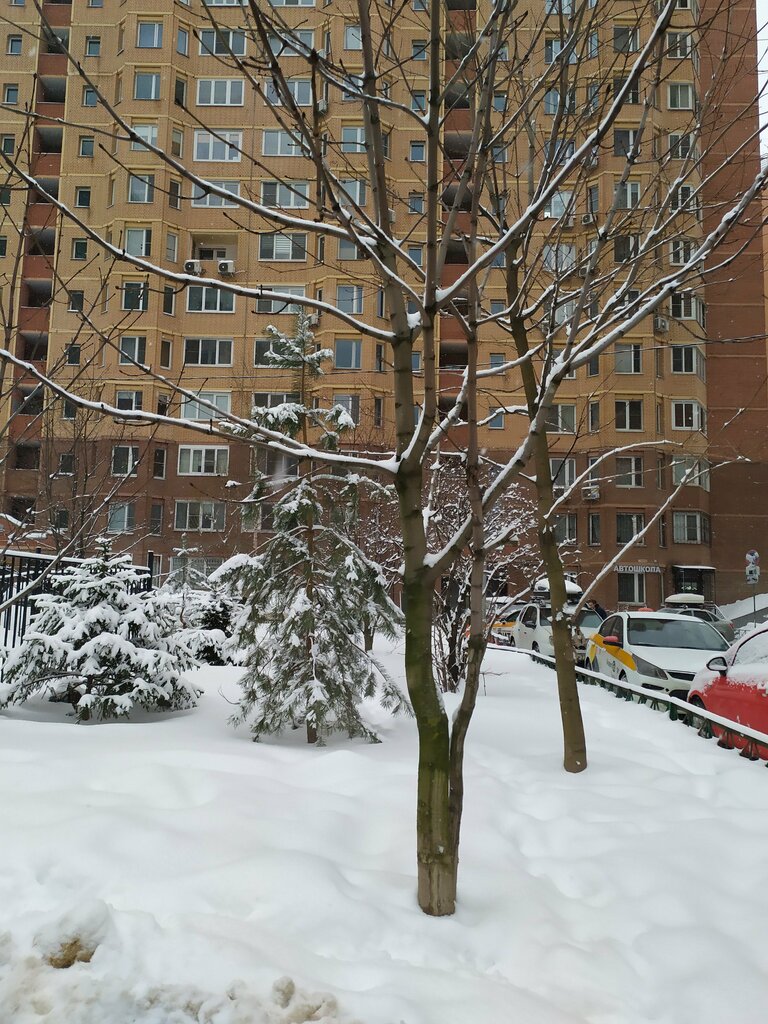Trash and garbage disposal area Trash and garbage disposal area, Krasnogorsk, photo