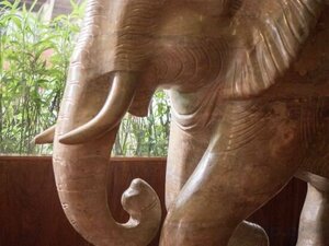 Гостиница Ta Prohm Hotel