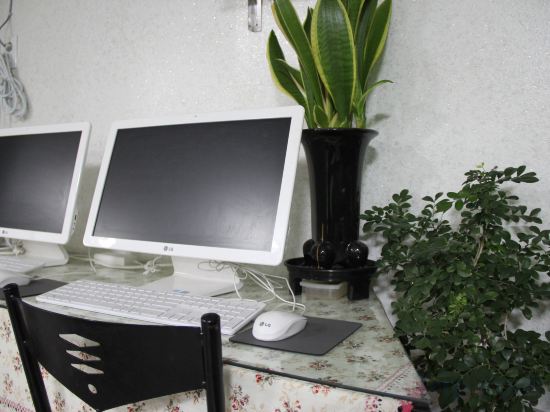 Фото Dream Guest House