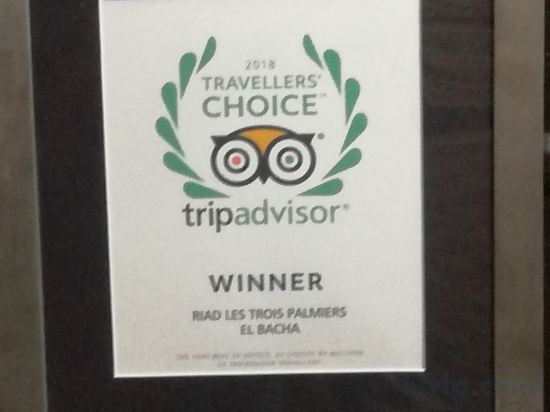 Фото Riad Les Trois Palmiers El Bacha