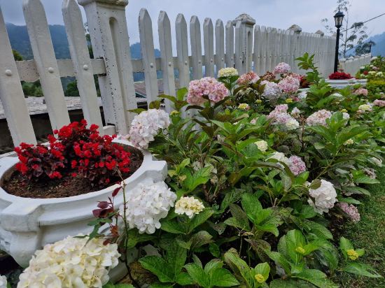 Фото Luxe Wilderness