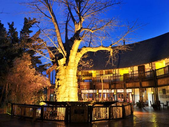 Фото Cresta Mowana Safari Resort & SPA