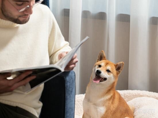 Фото Hilton London Metropole