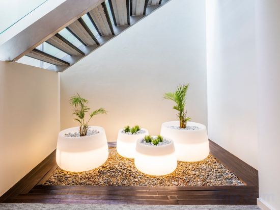 Фото Czar Lisbon Hotel