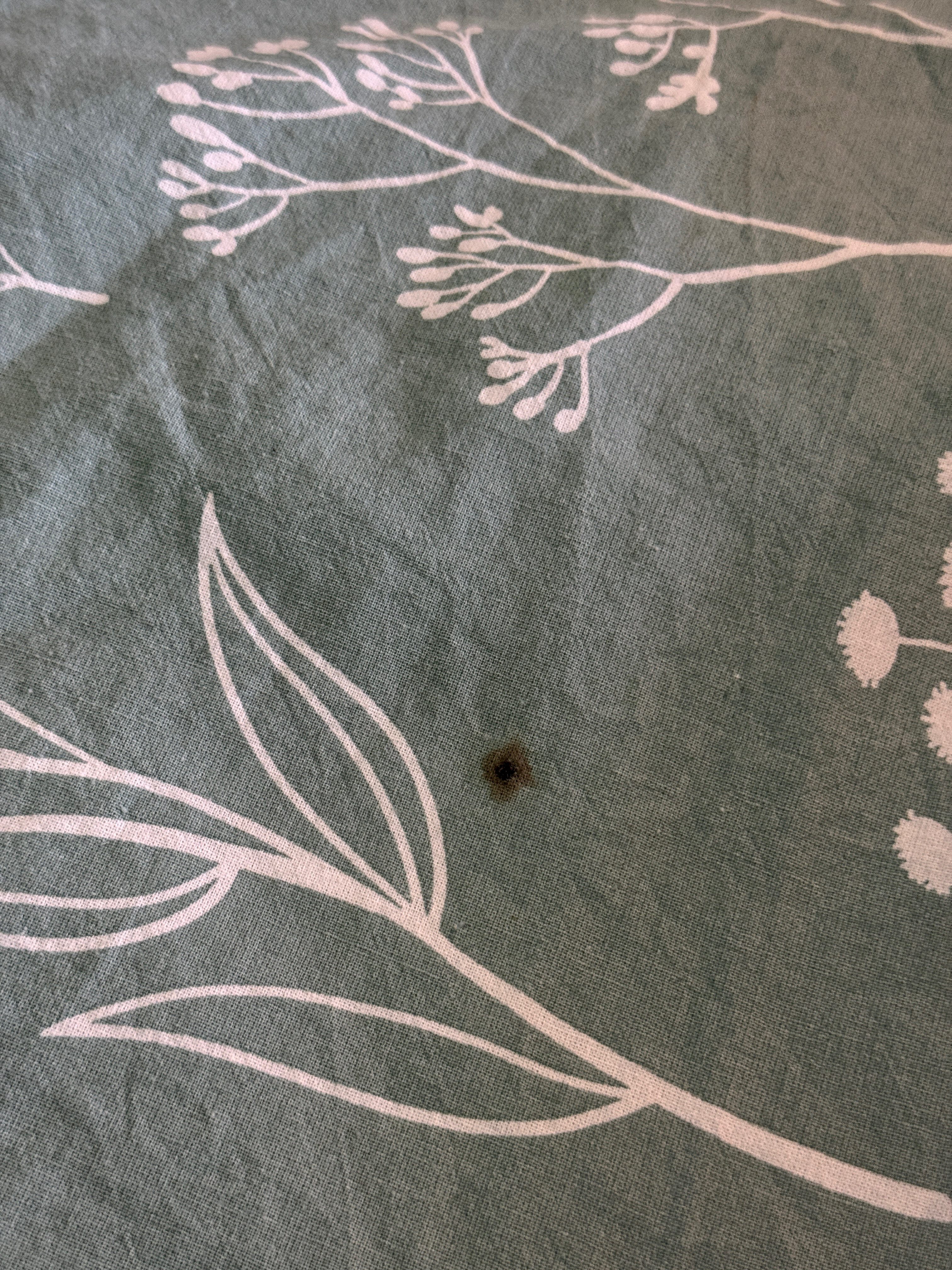 Фото База отдыха Алтай