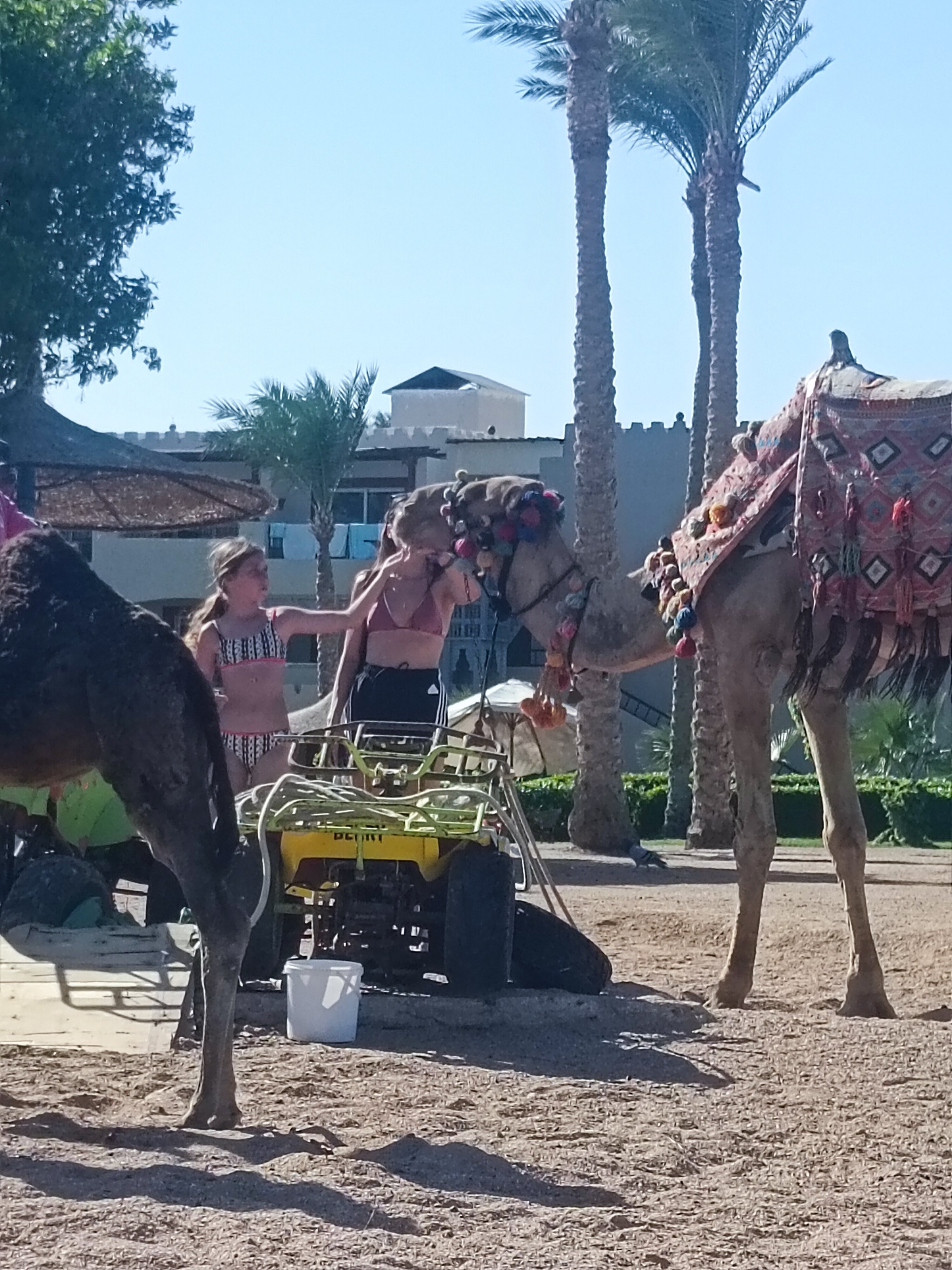 Фото Regency Plaza Aqua Park & SPA Resort