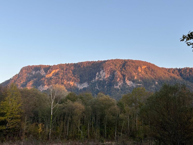 Гуамка Хоум — фото 36