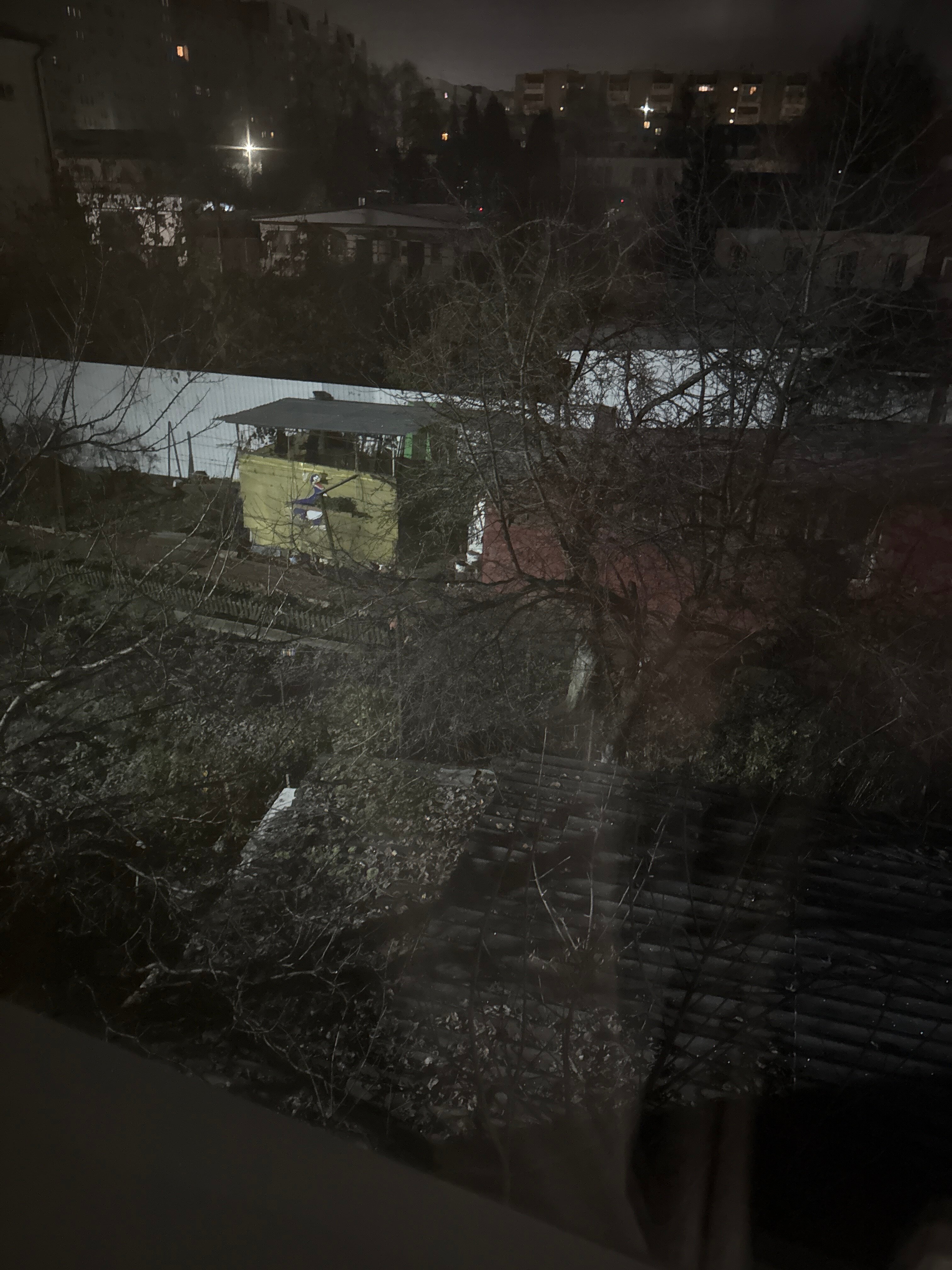 Фото Авиатор