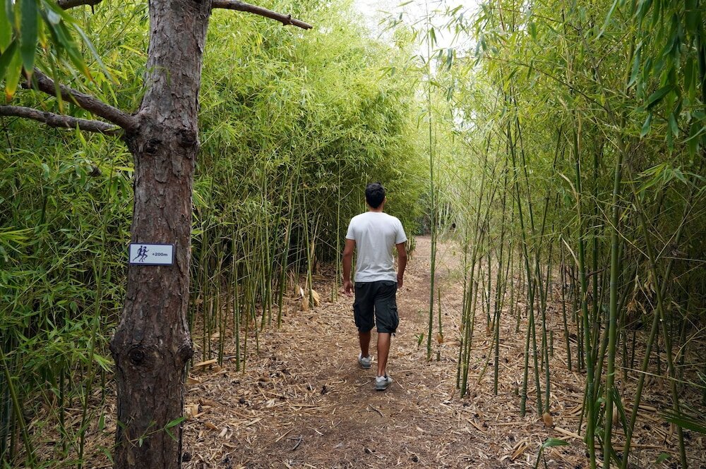 Фото Hyatt Regency Thessaloniki