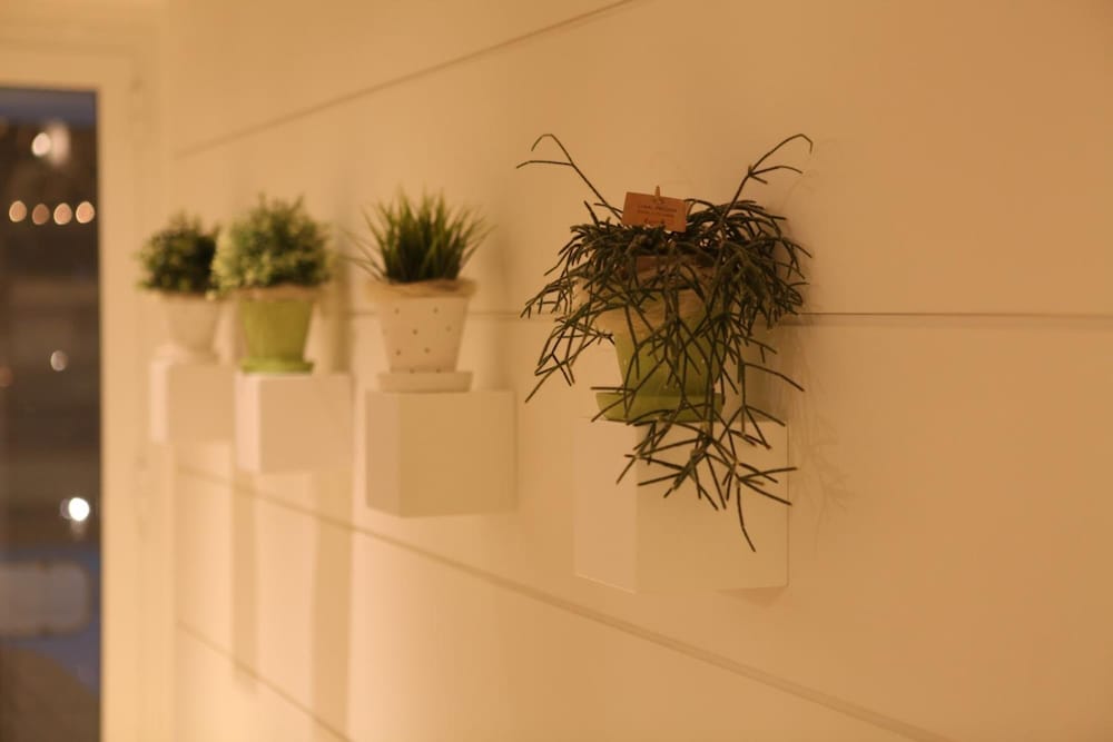 Фото Hotel Fantasy