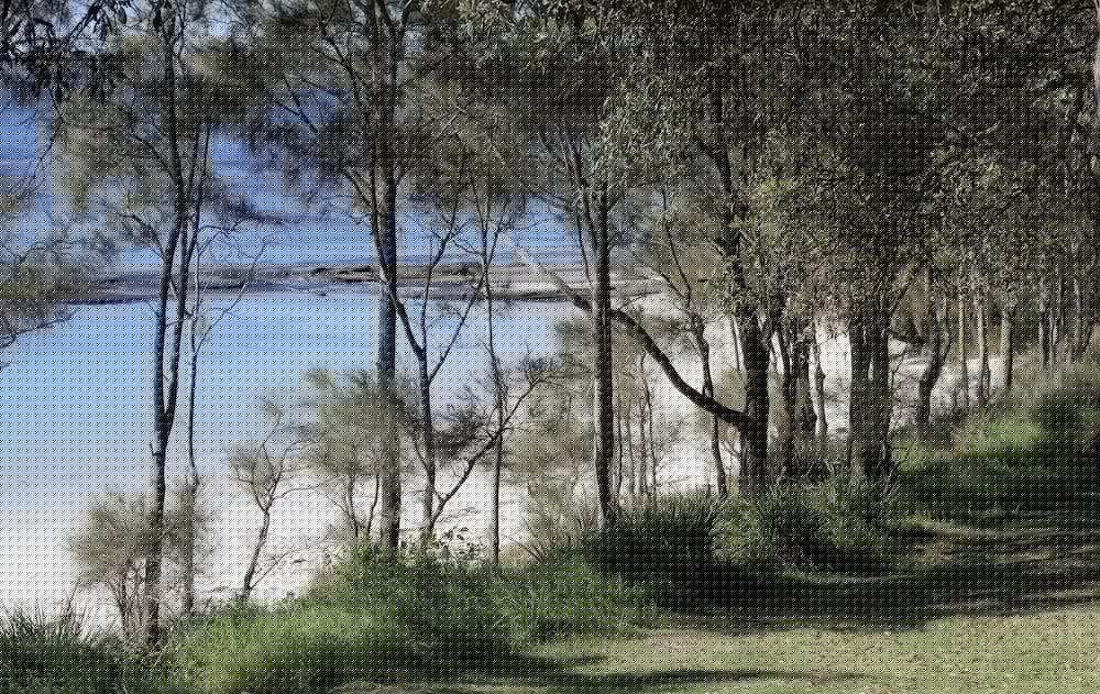 Фото Huskisson Bayside Resort