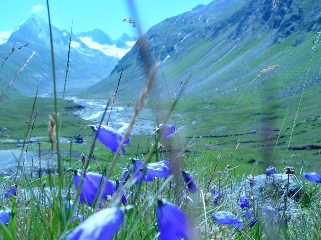 Фото Erhart Hotel