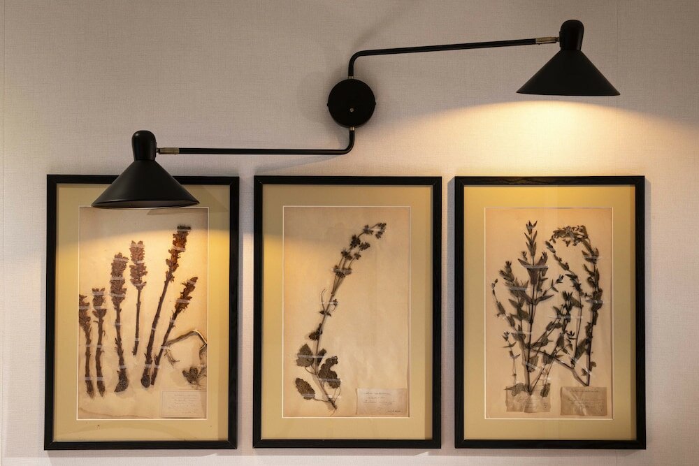 Фото Maxim Quartier Latin