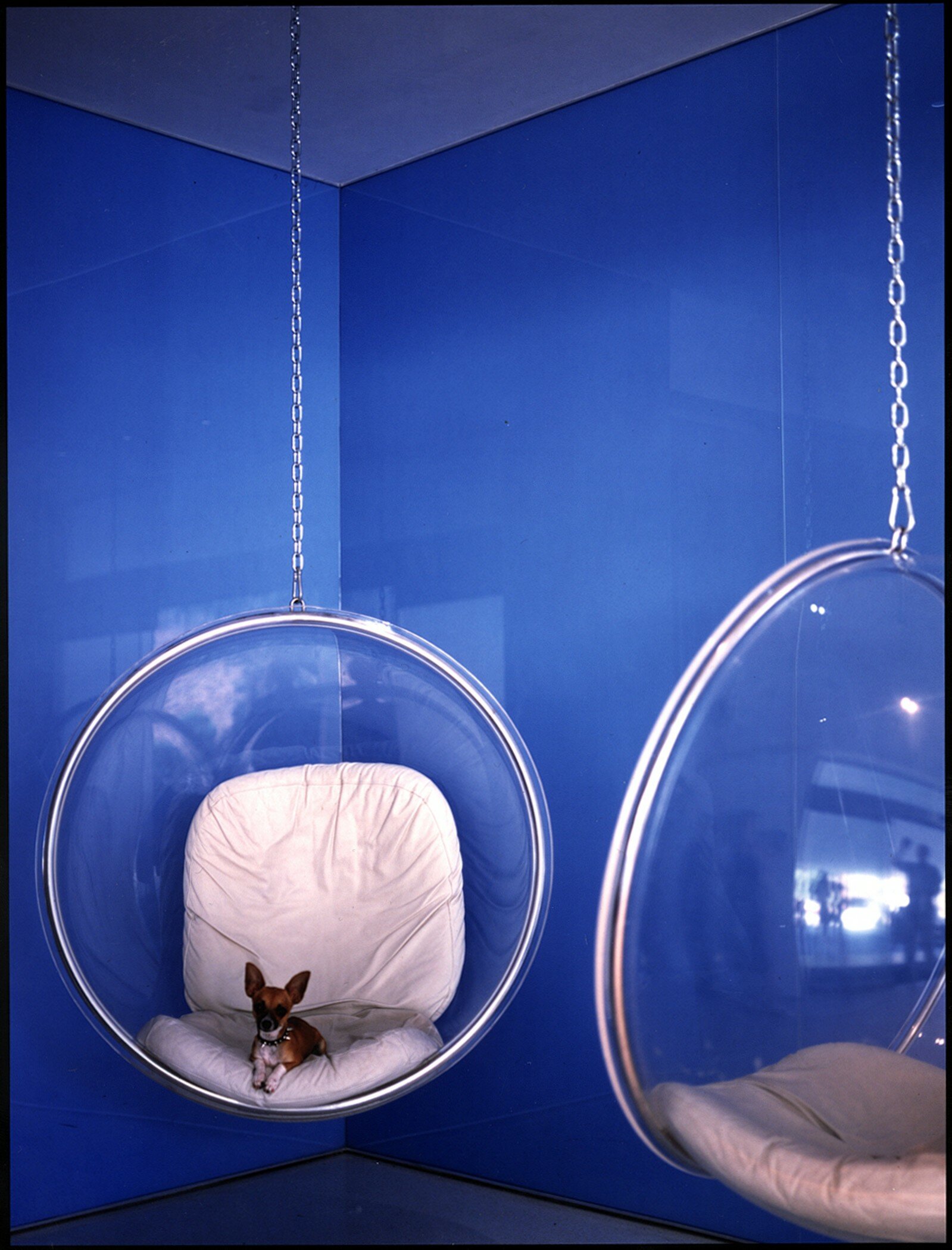 Фото The Standard Hollywood