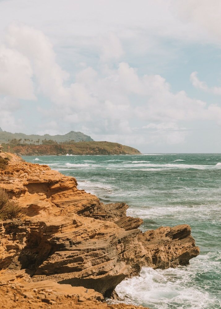 Фото Plantation Hale Suites