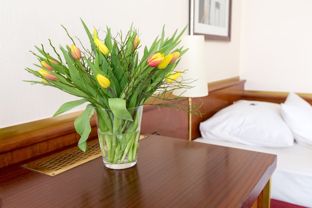 Фото Amedia Siegen, Trademark Collection by Wyndham