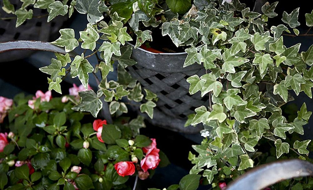 Фото The Morgan State House