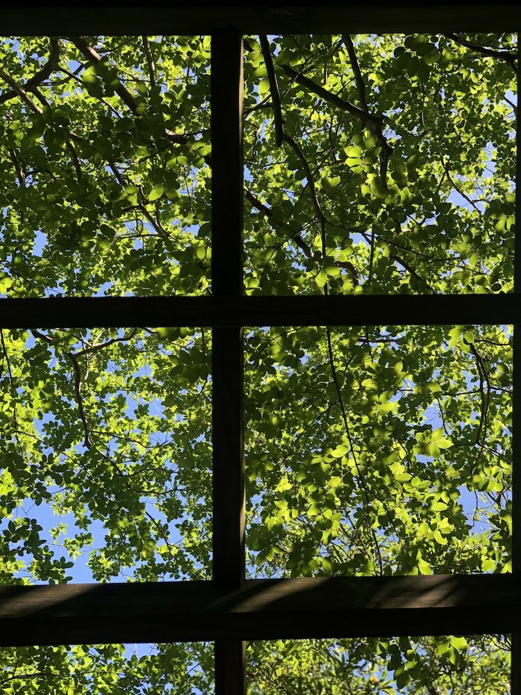 Фото The Presidents' Quarters Inn