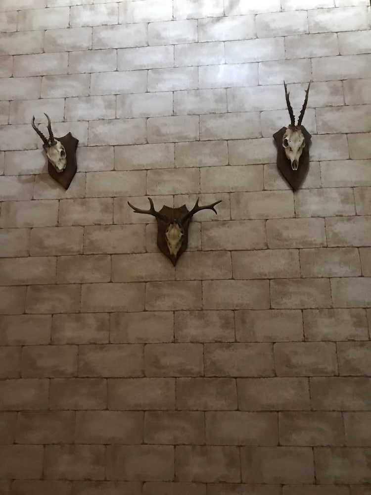 Фото Camelot B&b Palermo