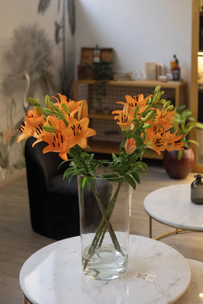 Фото Kleos Hotel Milano