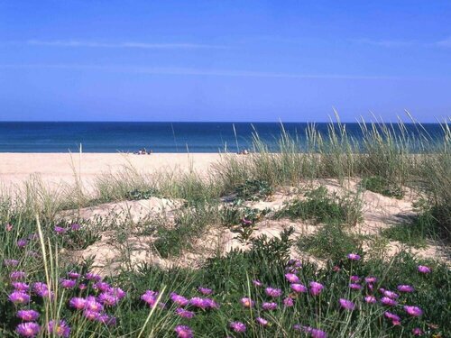 Внешний вид отеля Lagosmar Hotel в Лагуше, фото 4