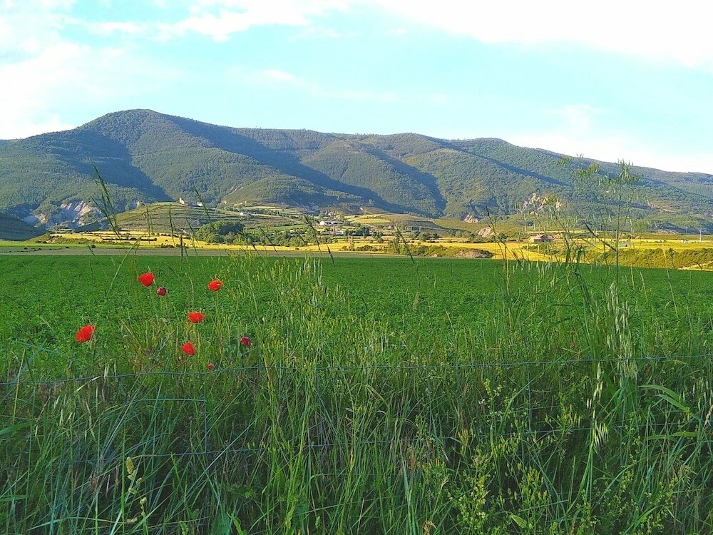 Фото Hotel El Acebo