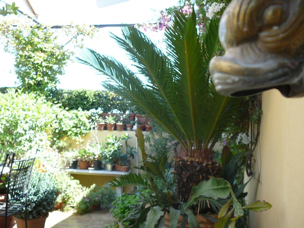 Фото La Terrazza dei Pelargoni B&b