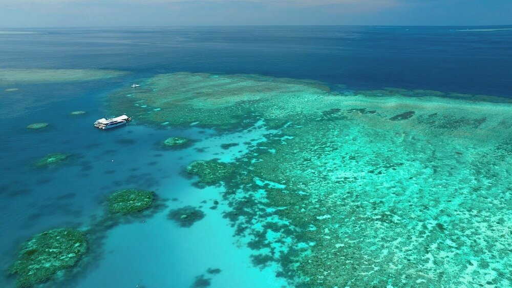 Фото Alivio Hotel Cairns