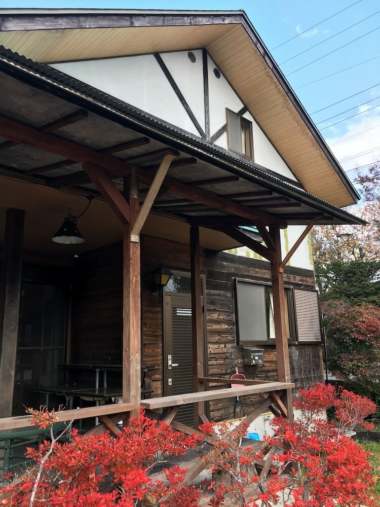 Фото Lupinus Kawaguchiko