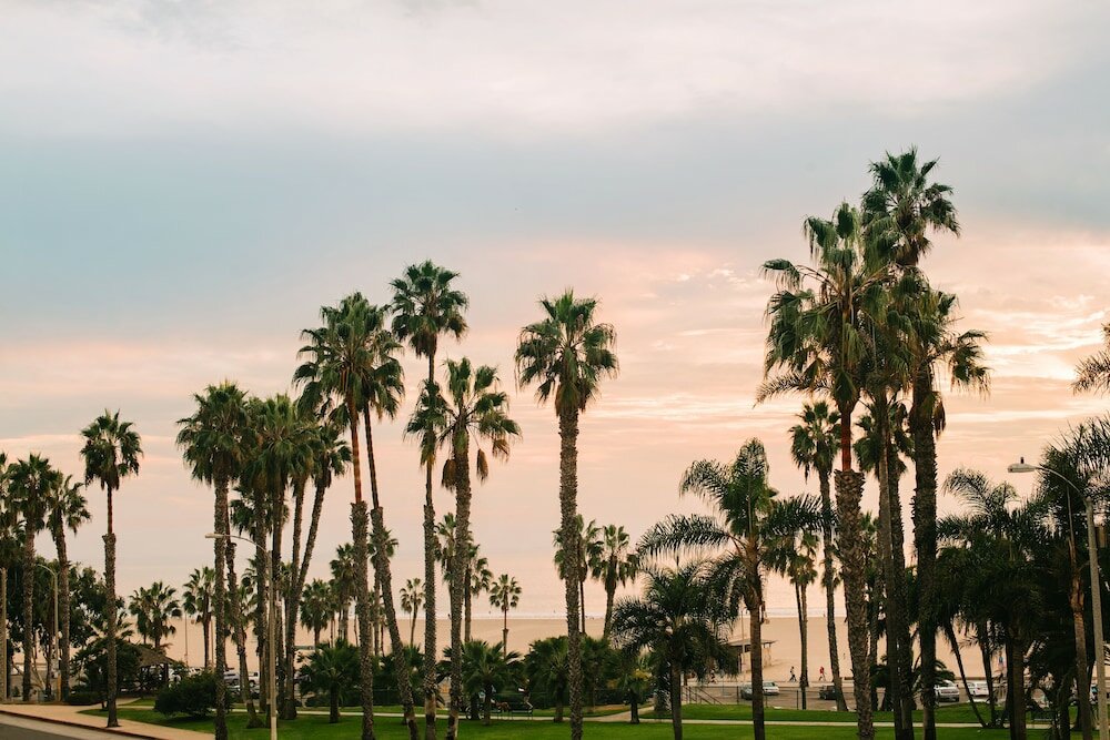 Фото Bayside Hotel