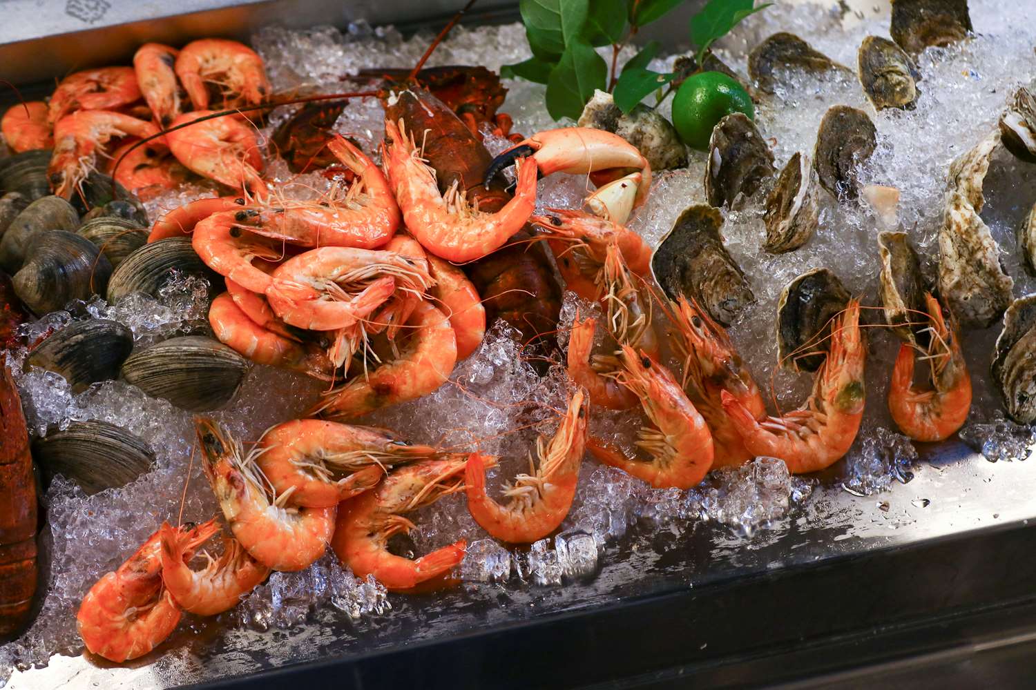 Фото Hilton Norfolk The Main