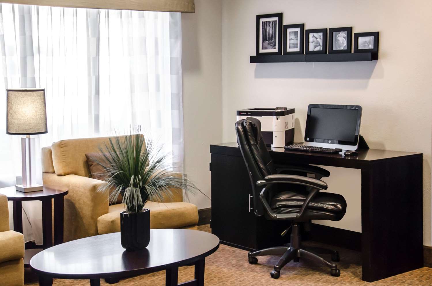 Фото Sleep Inn Airport - Billy Graham Parkway